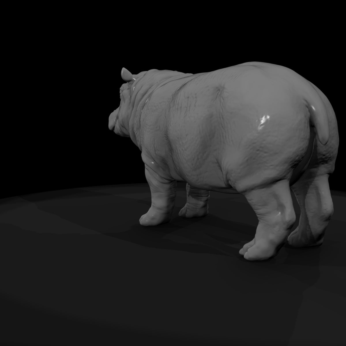 ant-036-hippopotamus-adolescent