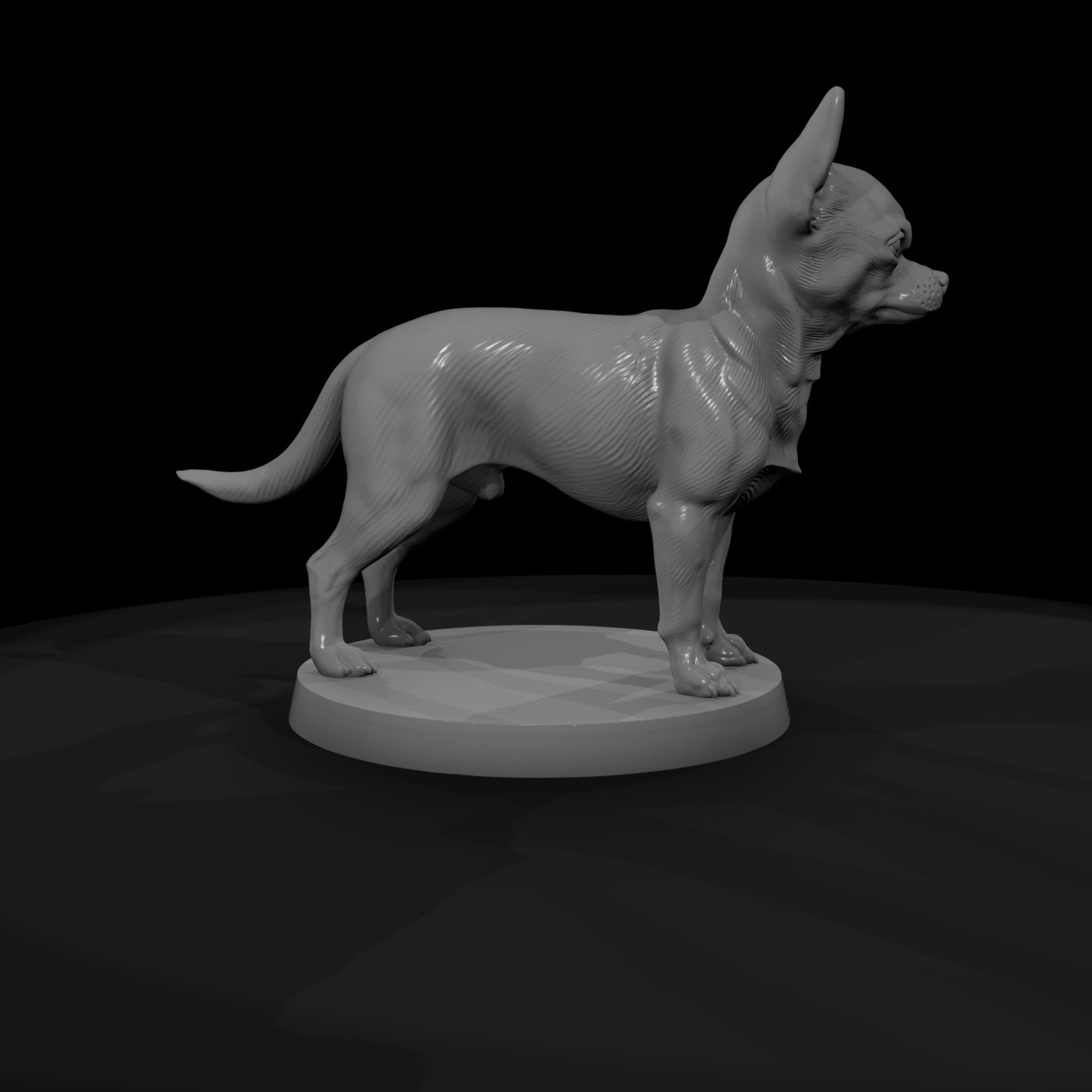 anim-09-chihuahua-039f8c