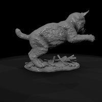 ant-162-bobcat-adolescent — thumbnail 7