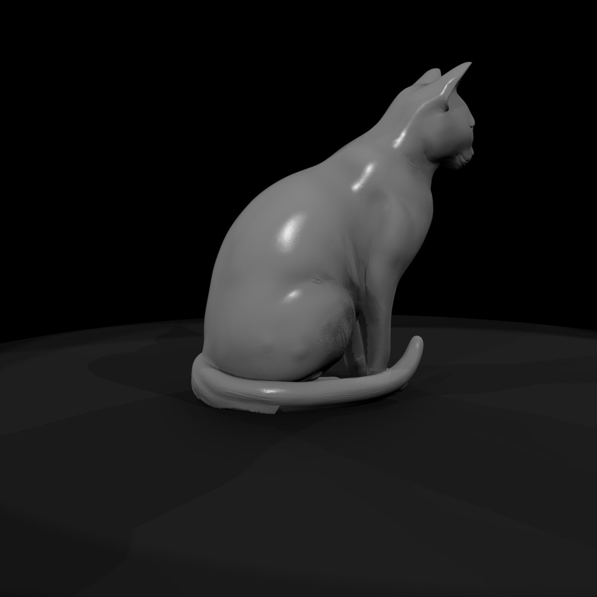 stylized_3d_sitting_house_cat_rx7729zn