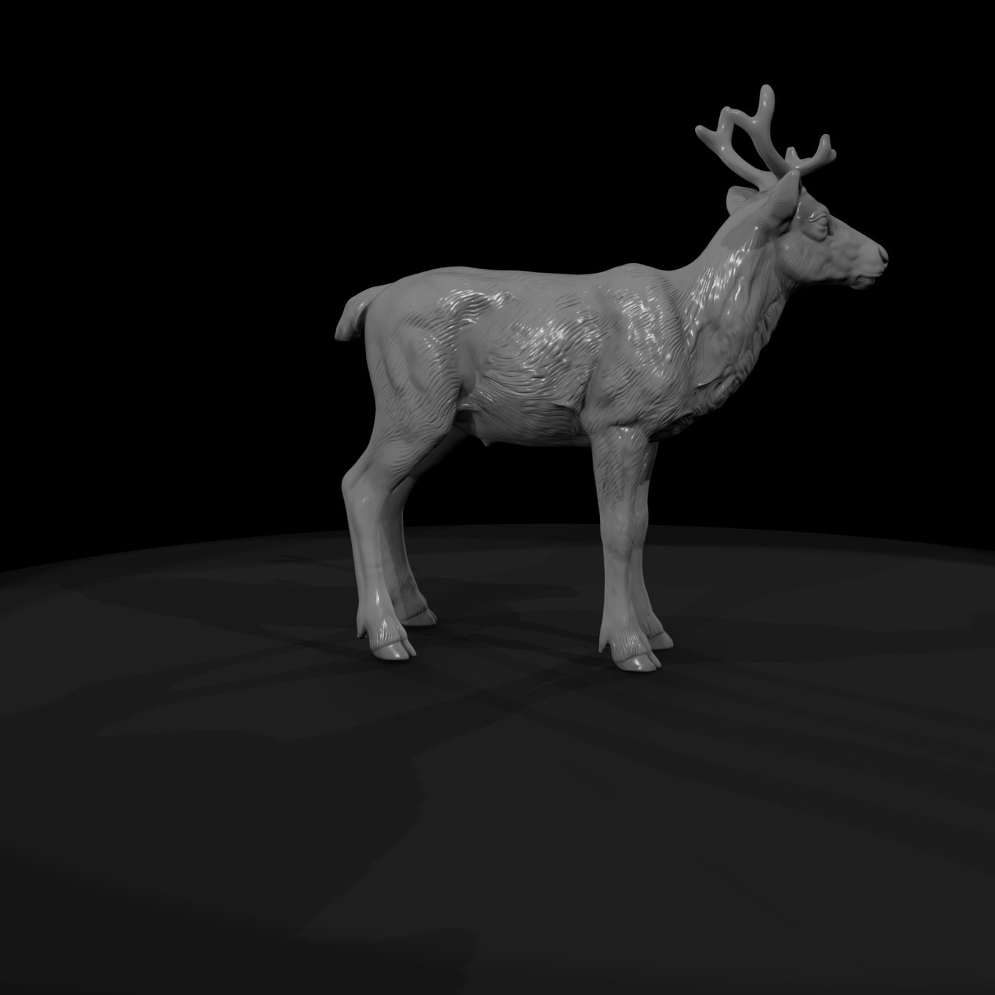 ant-063-caribou-adolescent