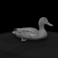 mallard-duck-figurine-resting-pose-for-dioramas-railway-layouts-033808 — thumbnail 8