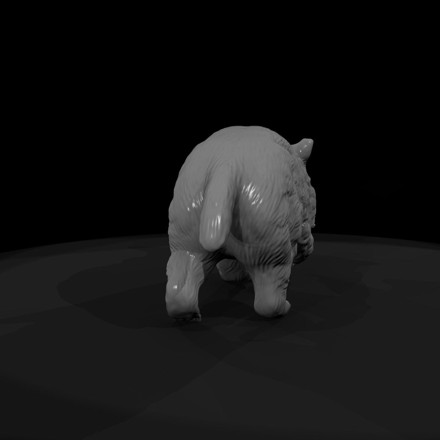 Young Wombat