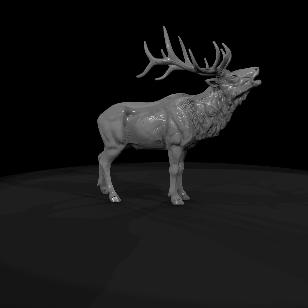 ww-0331-animal-elk