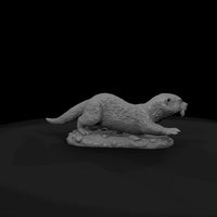 ant-183-river-otter-adolescent — thumbnail 7
