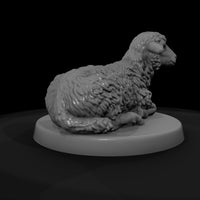 xmas-23-nativity-sheep-0118e8 — thumbnail 8