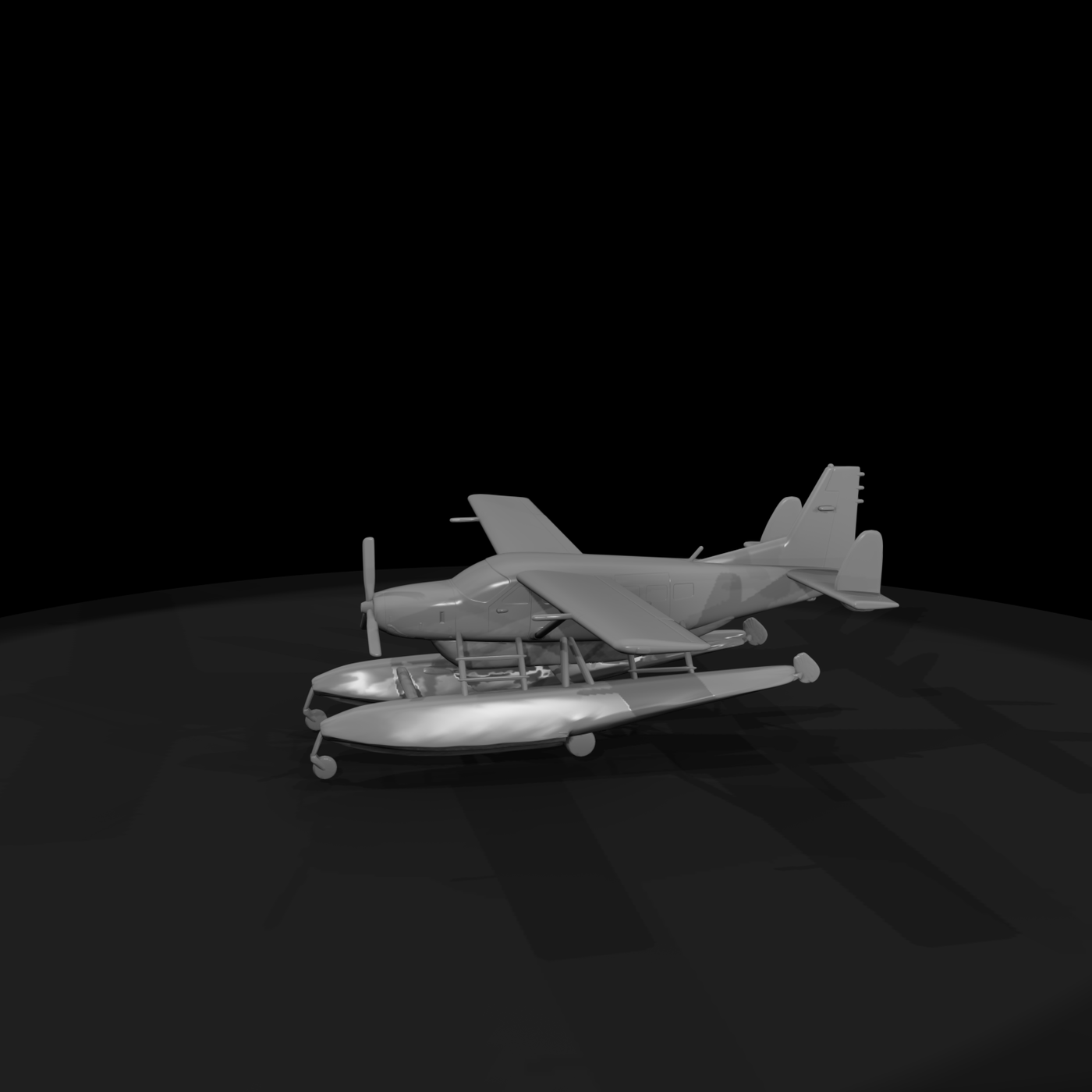 Cessna Caravan on floats 20205