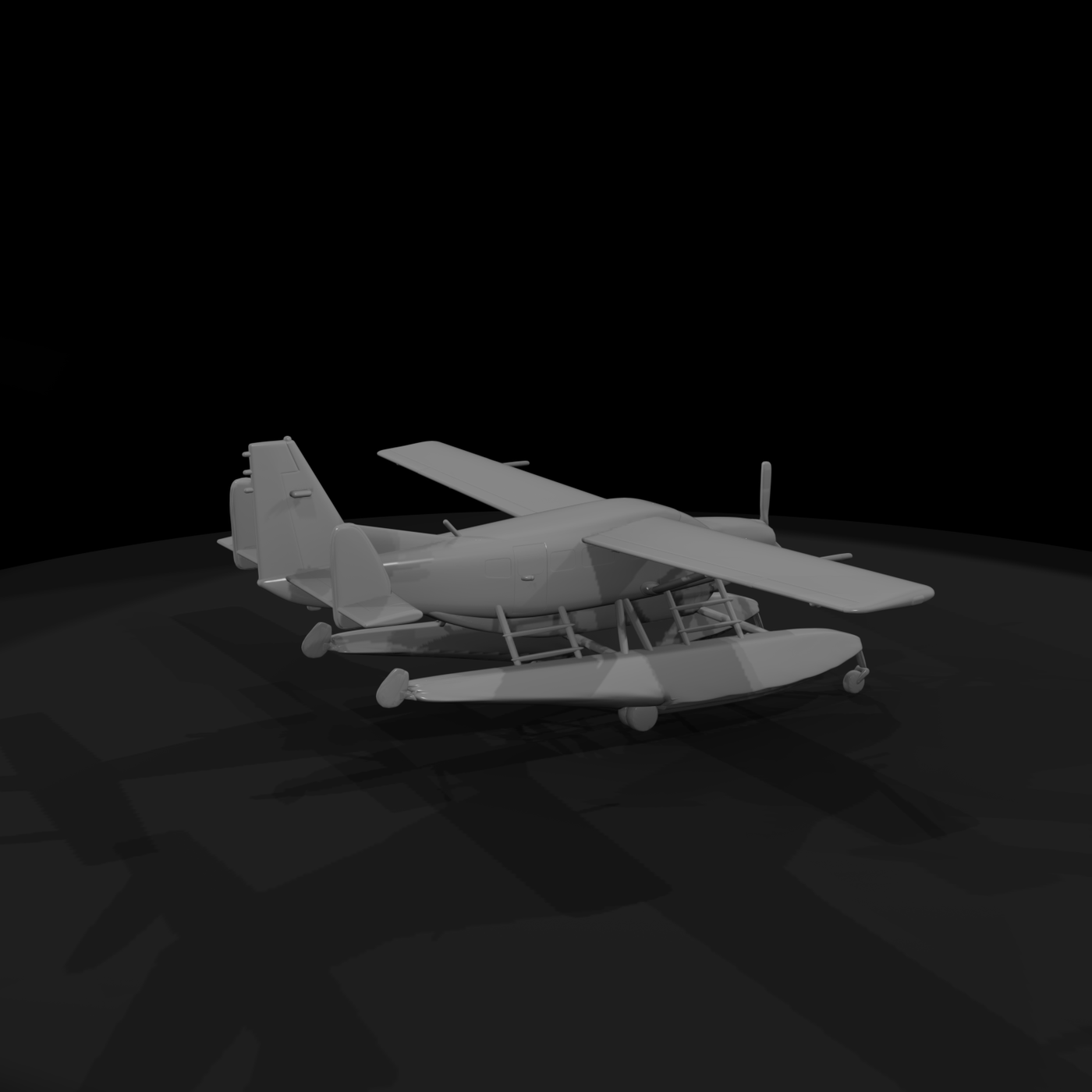 Cessna Caravan on floats 20205