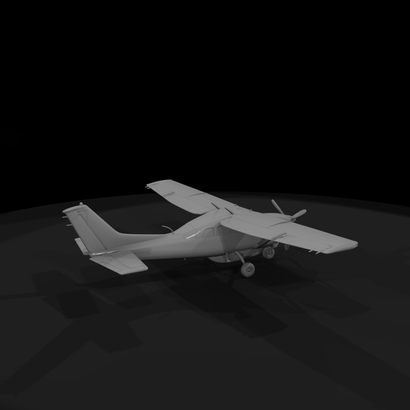 cessna 206 2025 ly