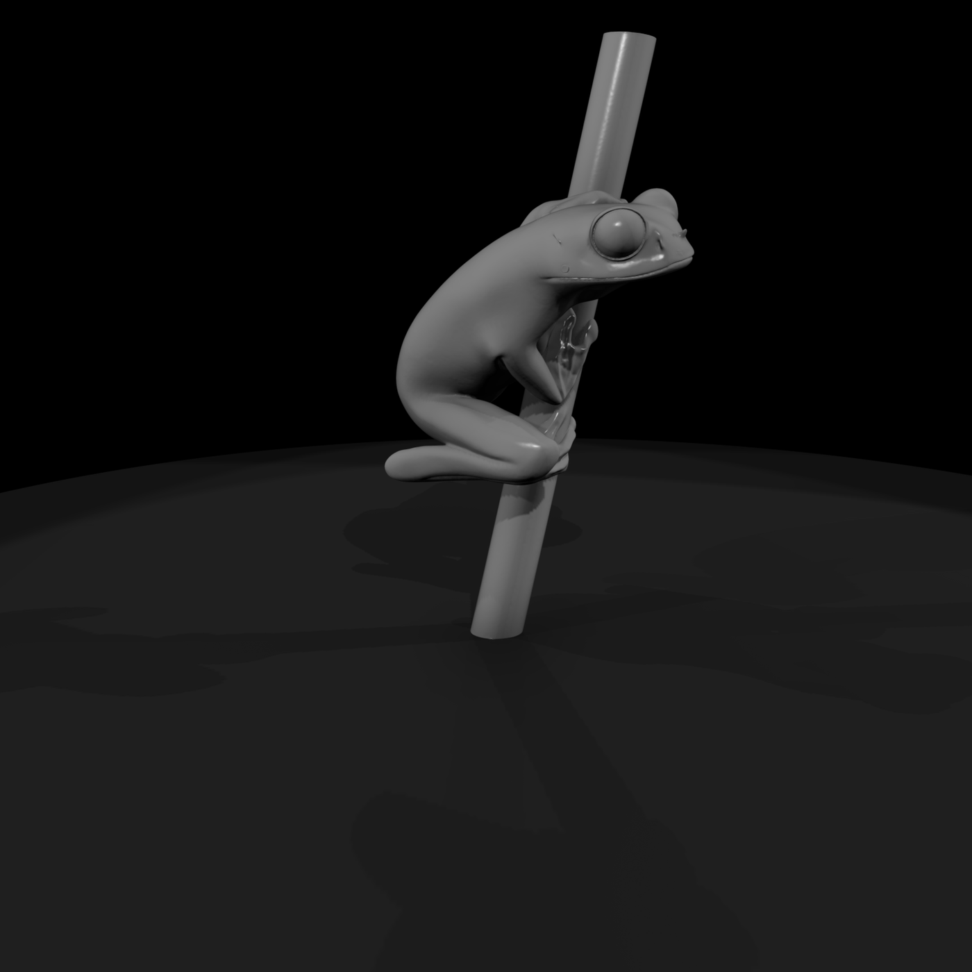 Climbing Tree Frog Miniature
