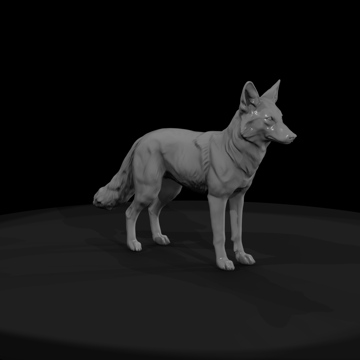 coyote