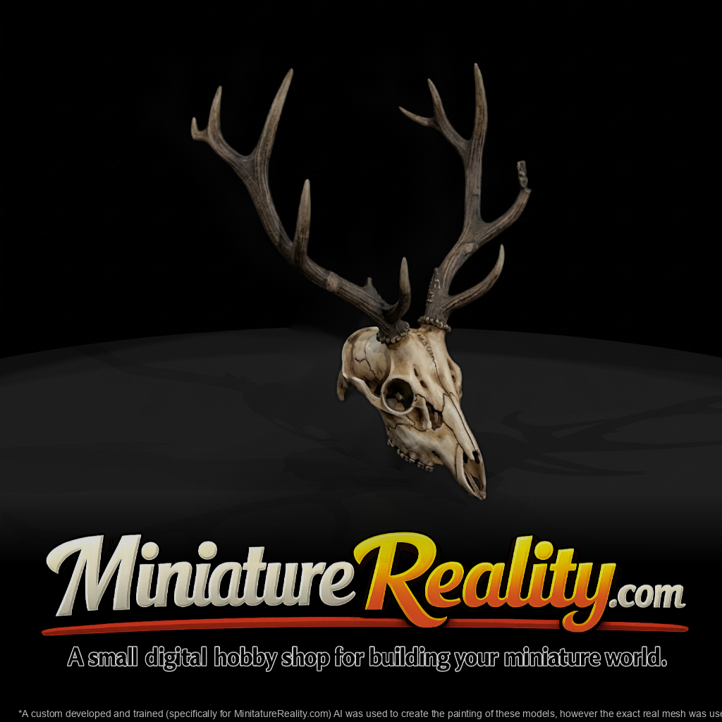 Antlered Cervid Cranium