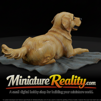 family-dog-lying-pose-miniature-494440 — thumbnail 1
