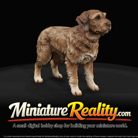 hunting dog