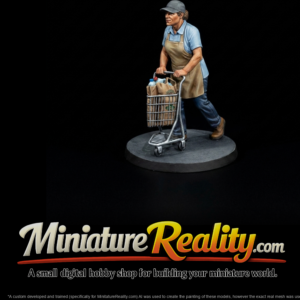 MODERN DELIVERY PEOPLE Grocery service shopper