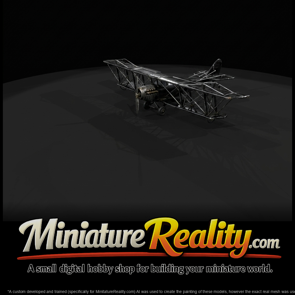 old biplane 2025