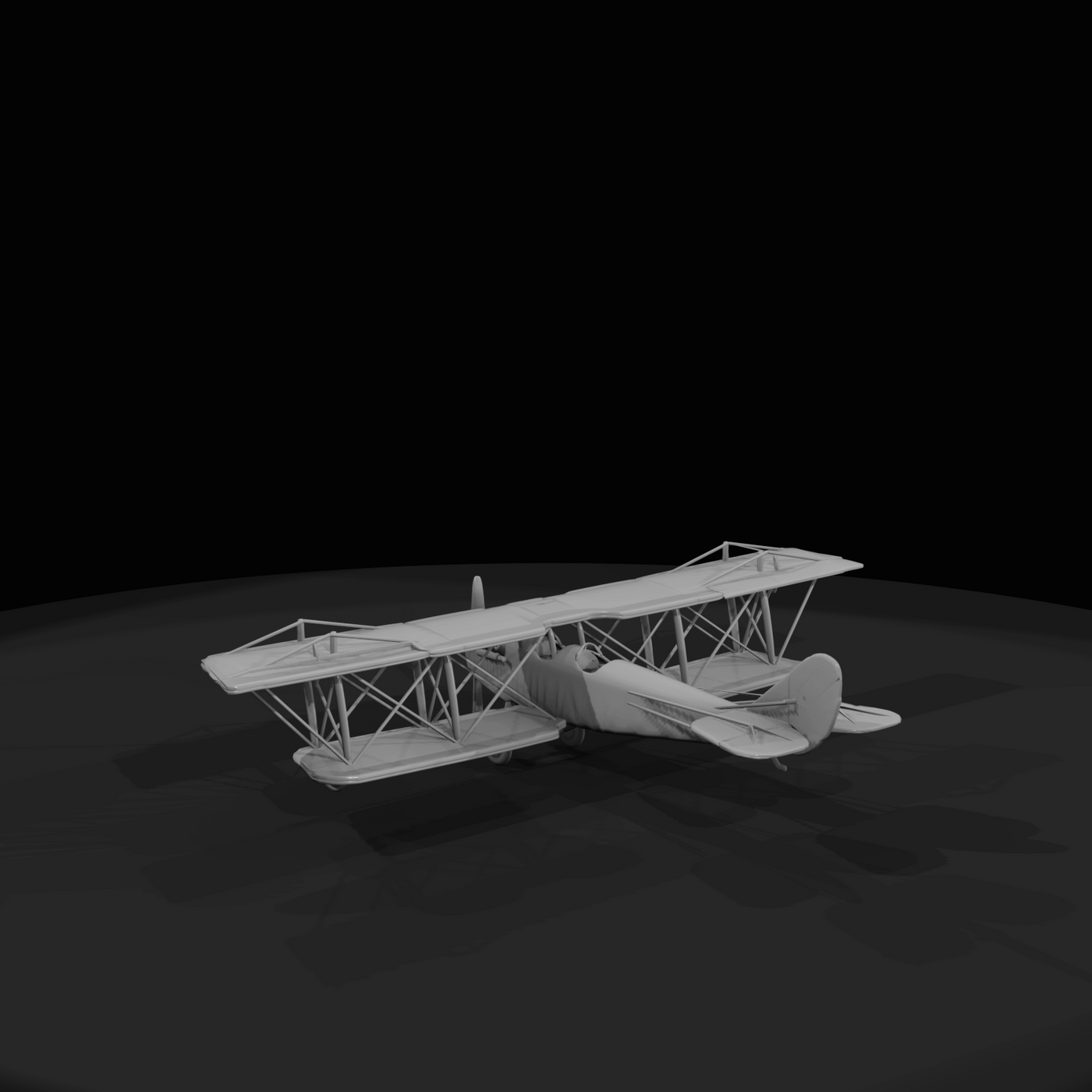 old biplane 2025