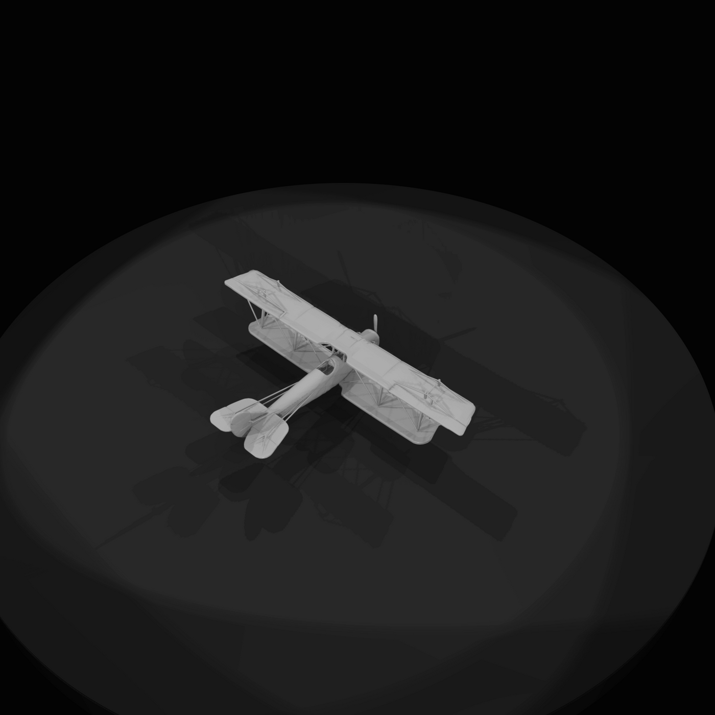 old biplane 2025