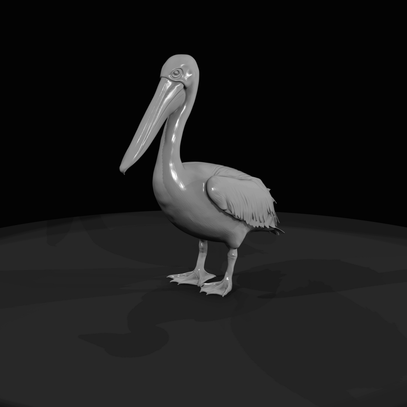 pelican