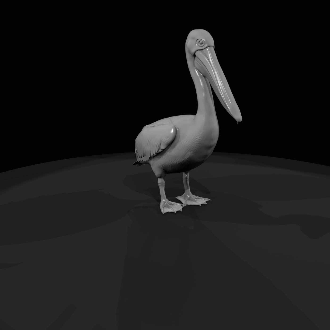 pelican