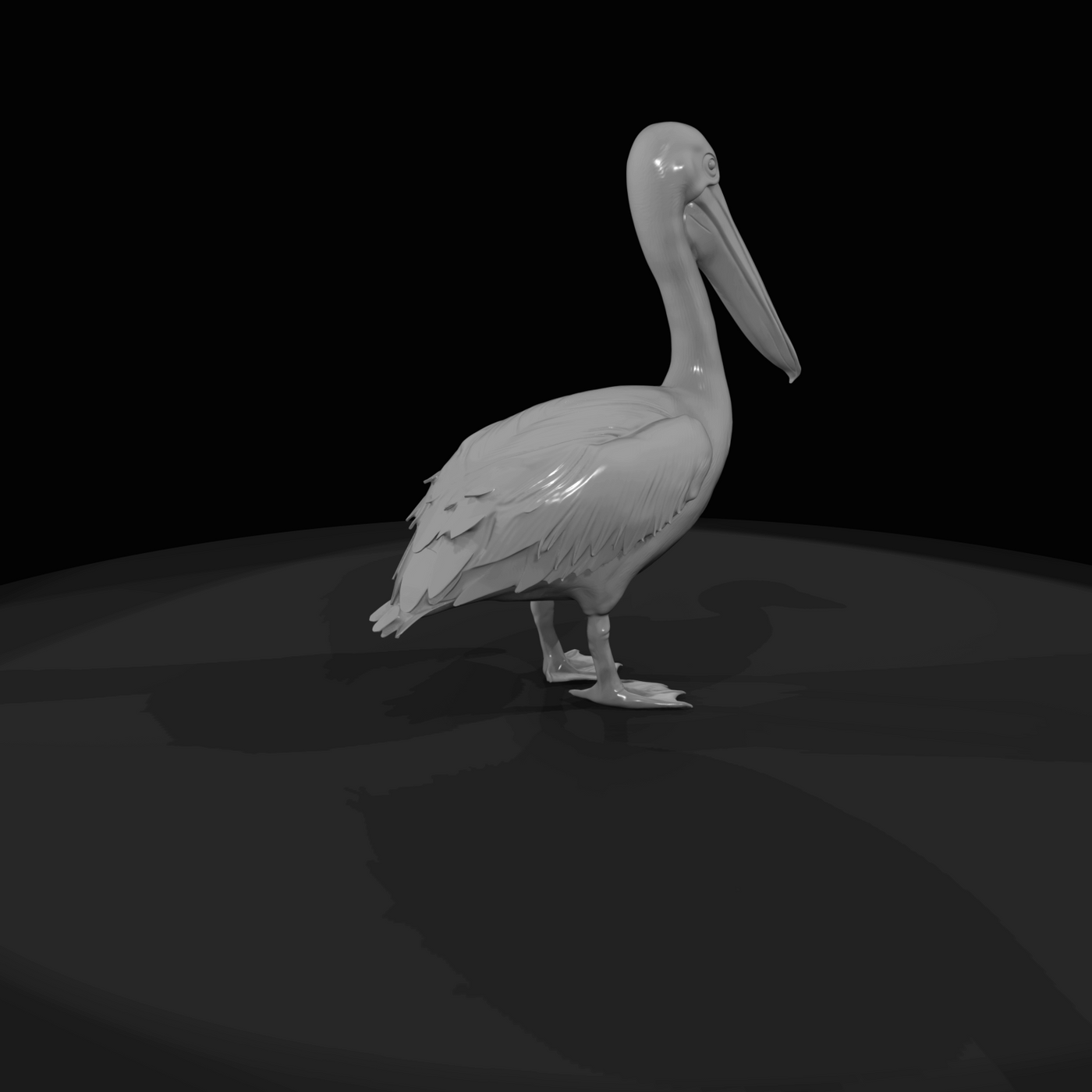 pelican