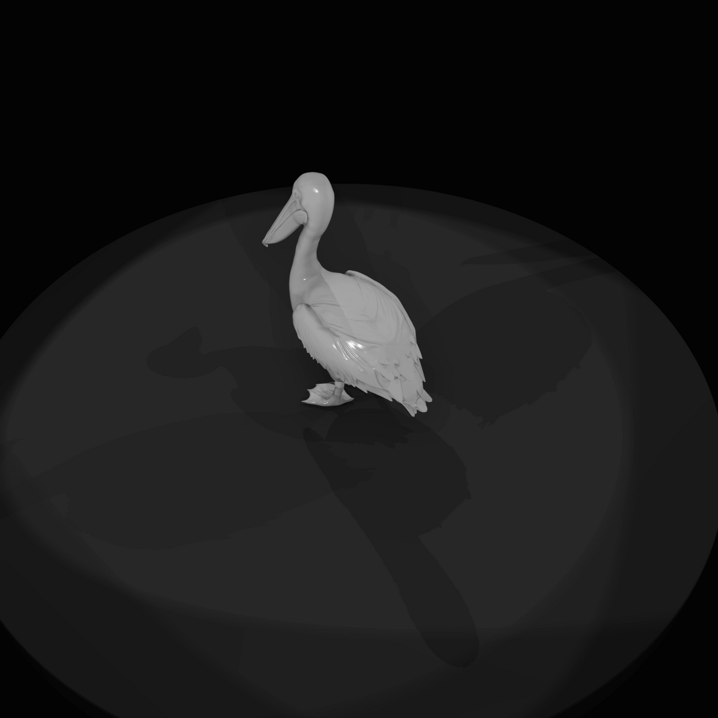 pelican