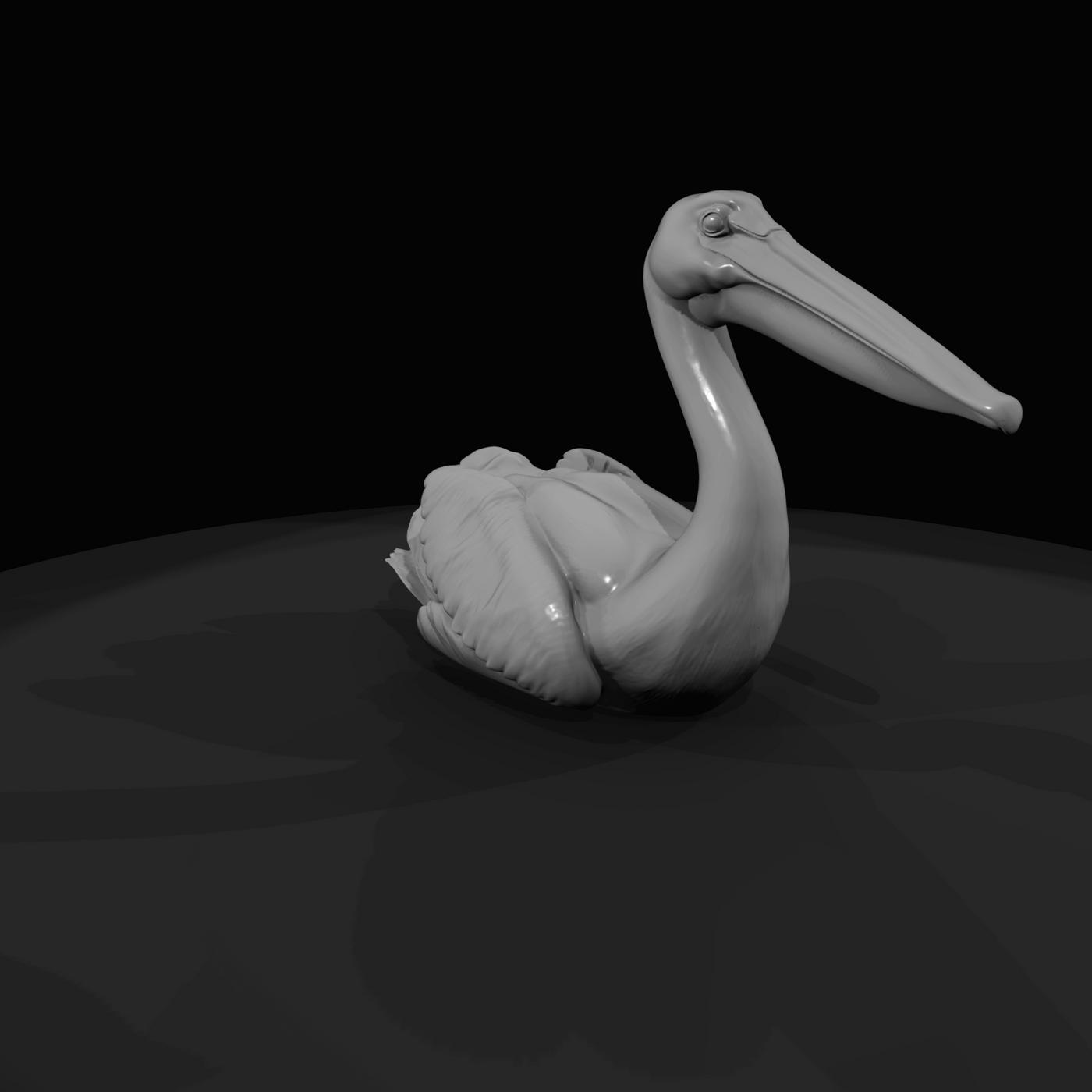 Pelican Screenshot Si (estimated)