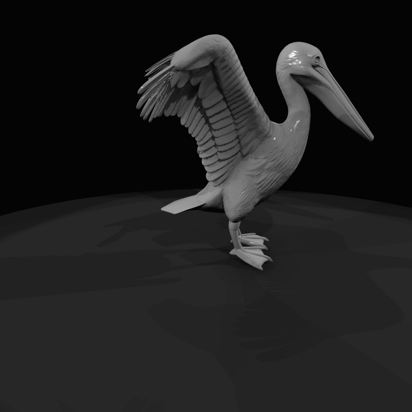 Pelican Screenshot (estimated)