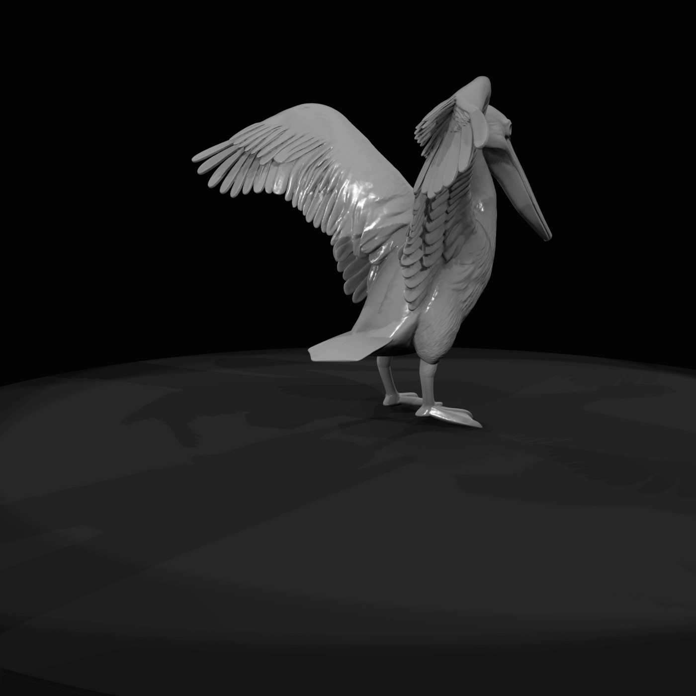 Pelican Screenshot (estimated)