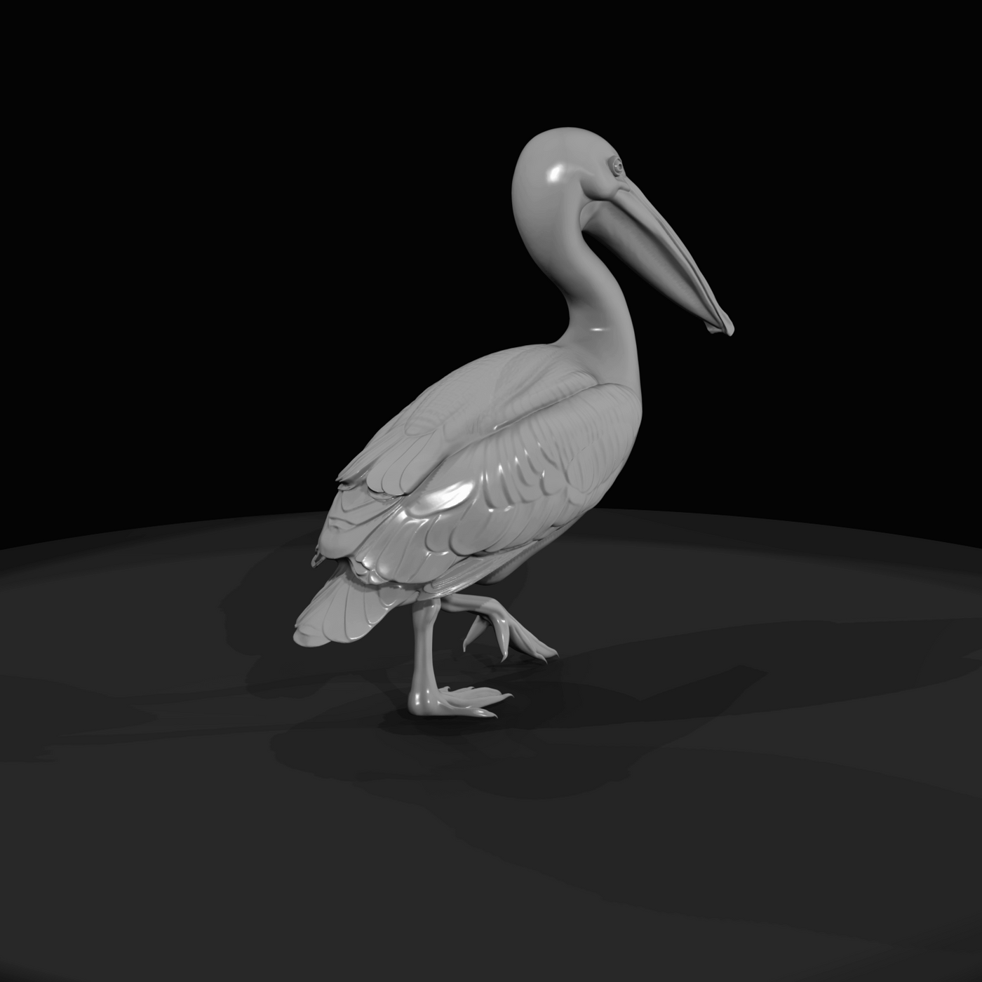 Pelican Screenshot (estimated)