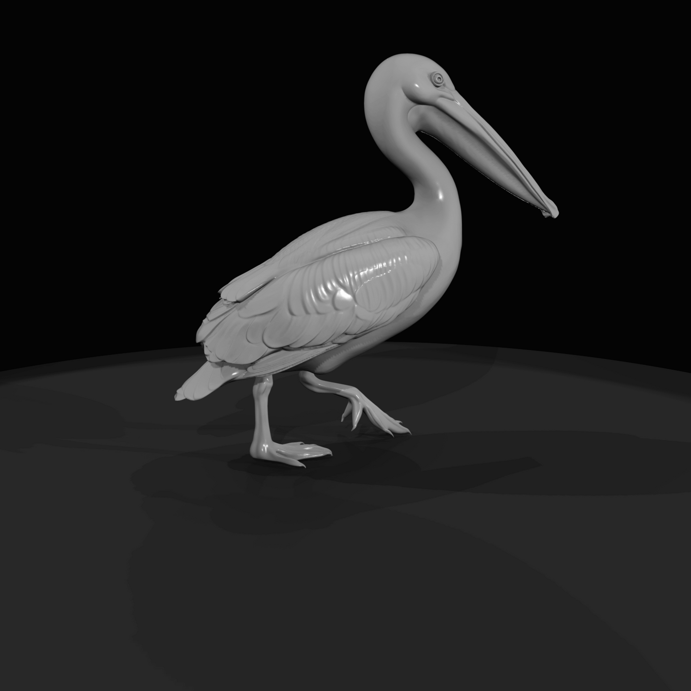Pelican Screenshot (estimated)