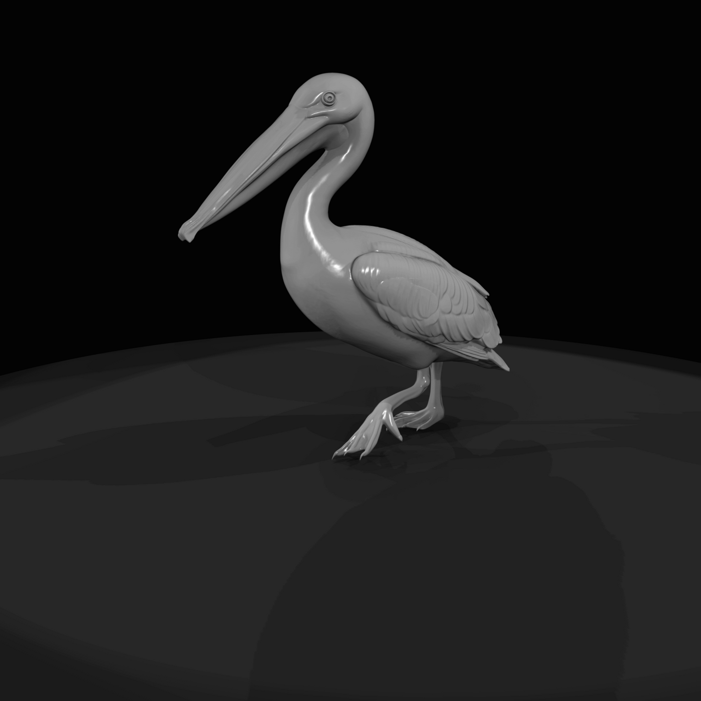 Pelican Screenshot (estimated)