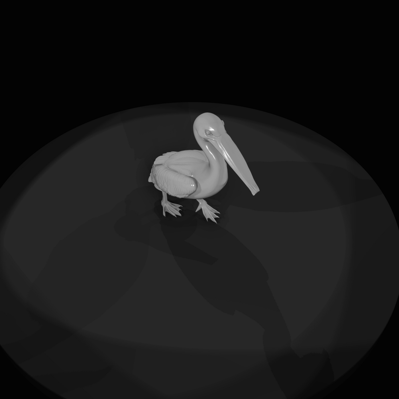 Pelican Screenshot (estimated)