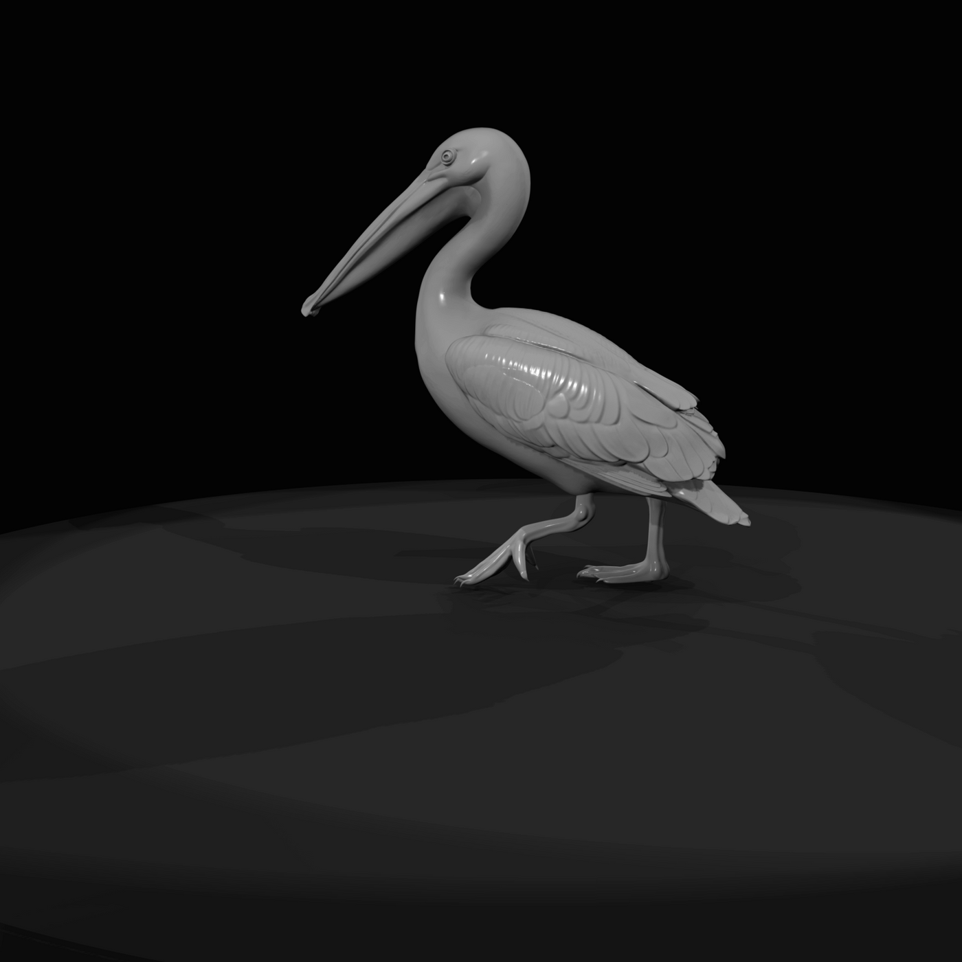 Pelican Screenshot (estimated)