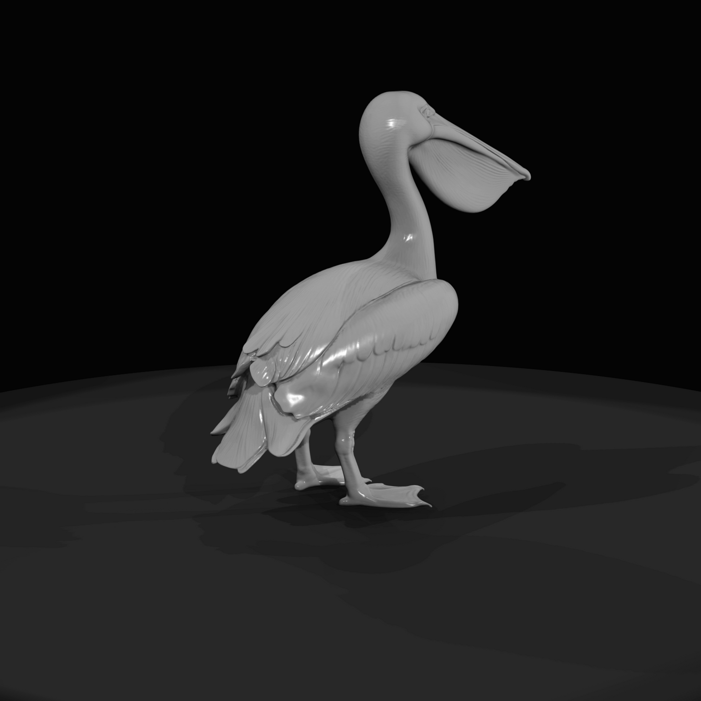 Pelican Screenshot Si (estimated)