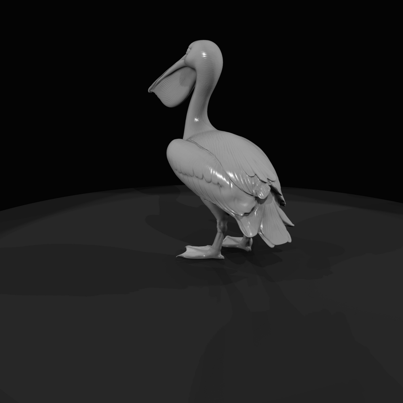 Pelican Screenshot Si (estimated)