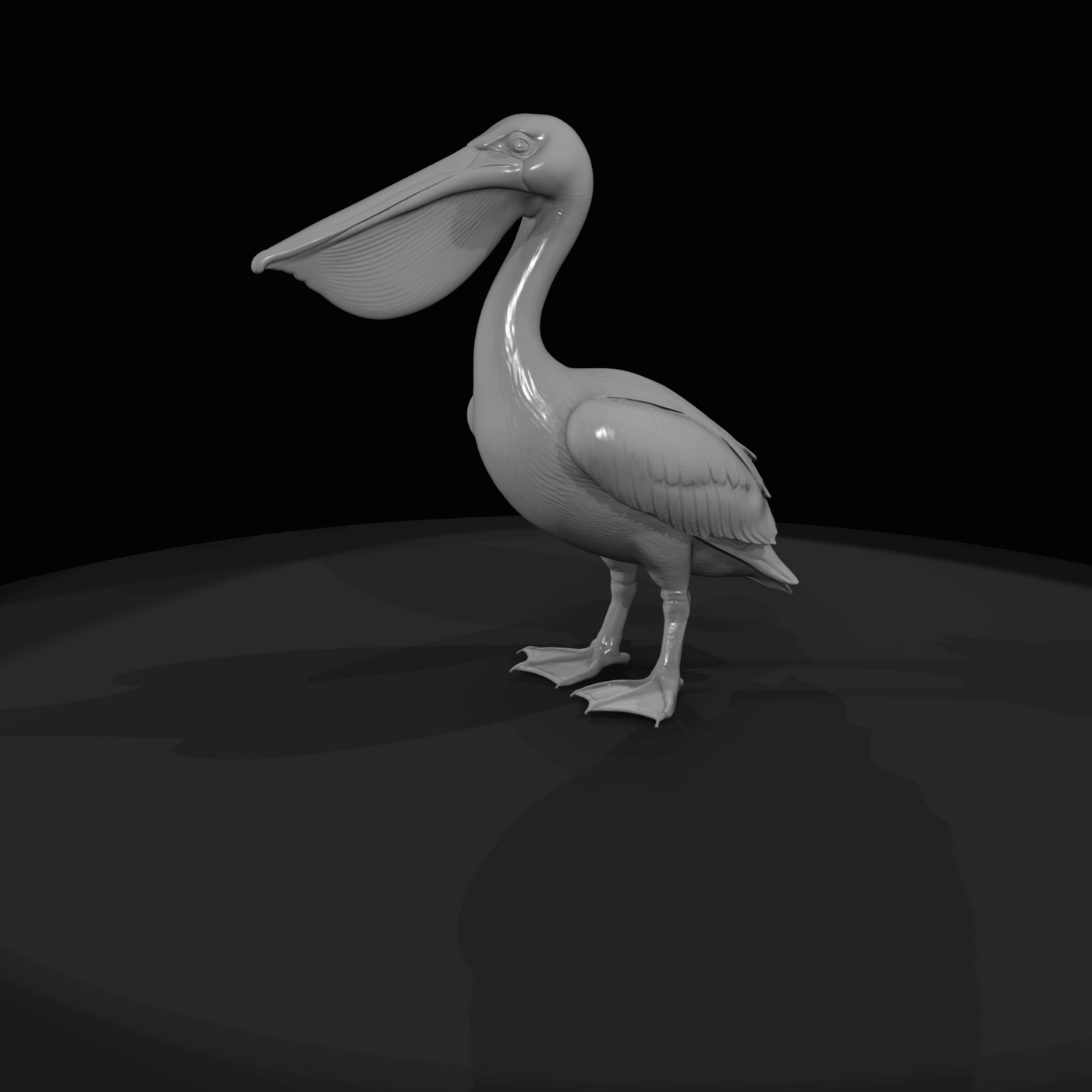 Pelican Screenshot Si (estimated)