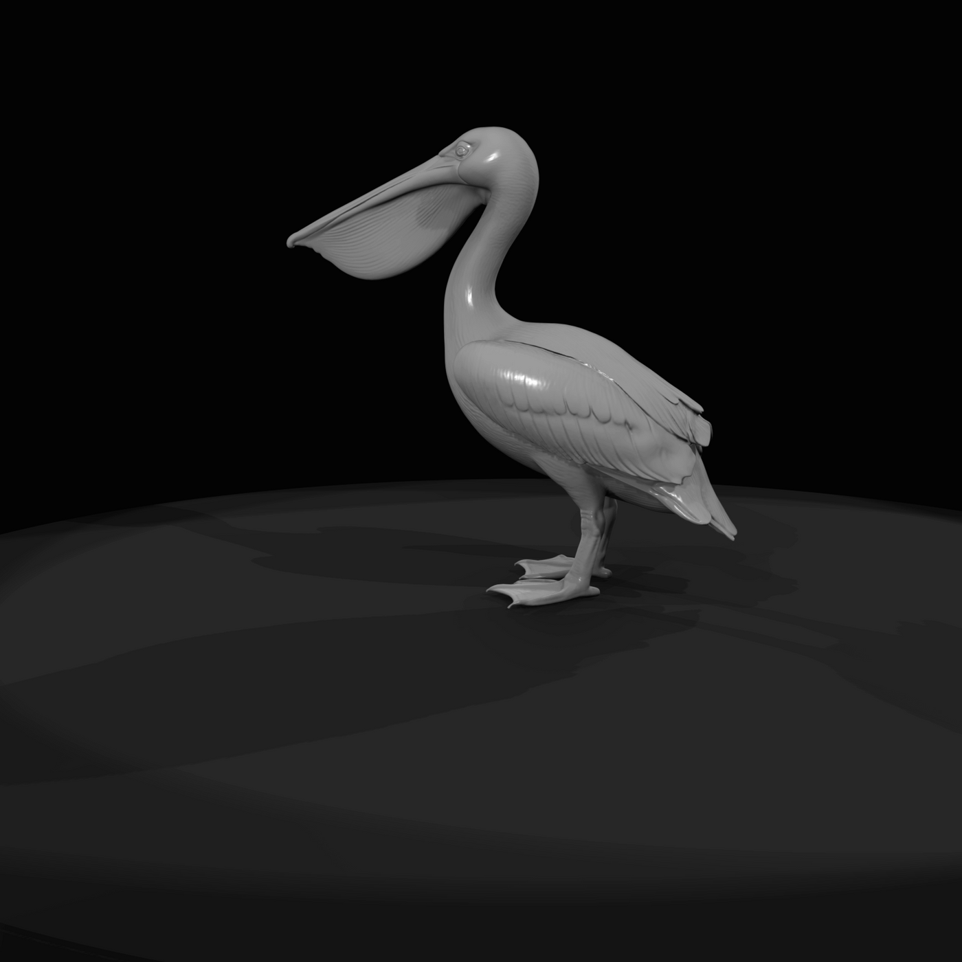 Pelican Screenshot Si (estimated)