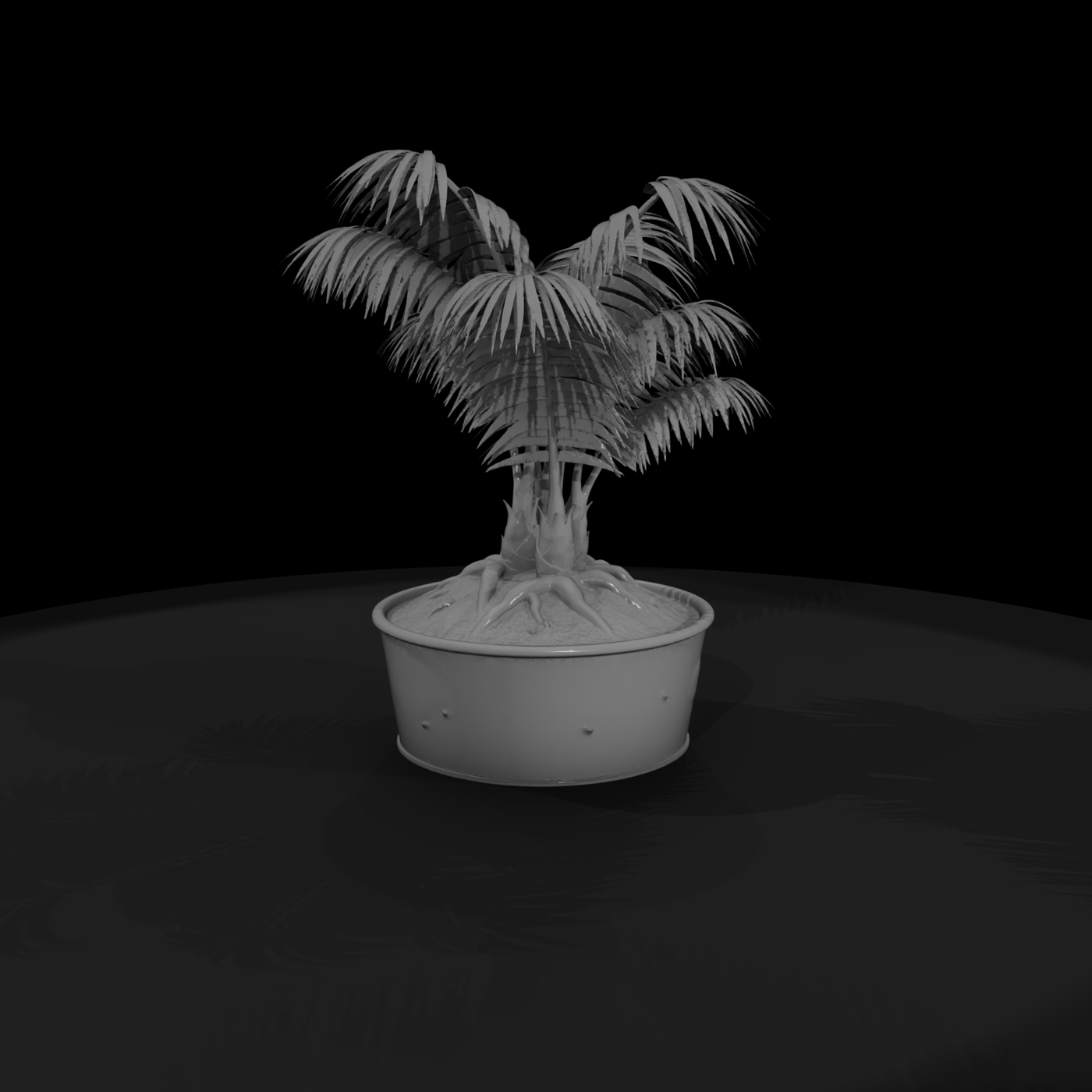 Potted Palm Plant Miniature