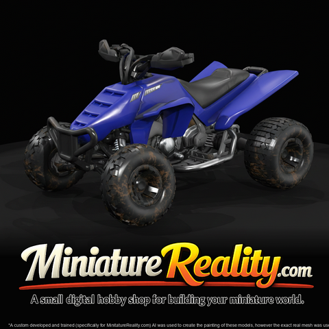 Quad Bike (2010s)
