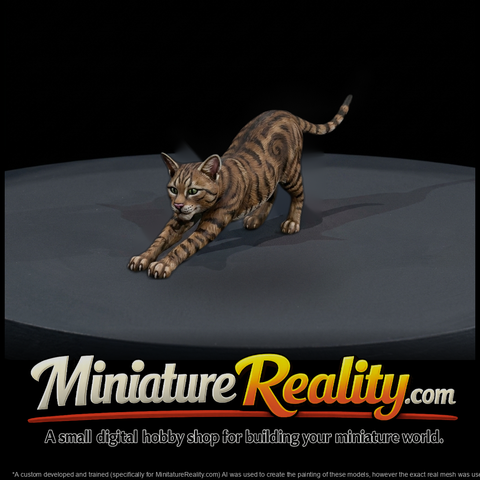 Stretching Domestic Cat Figure