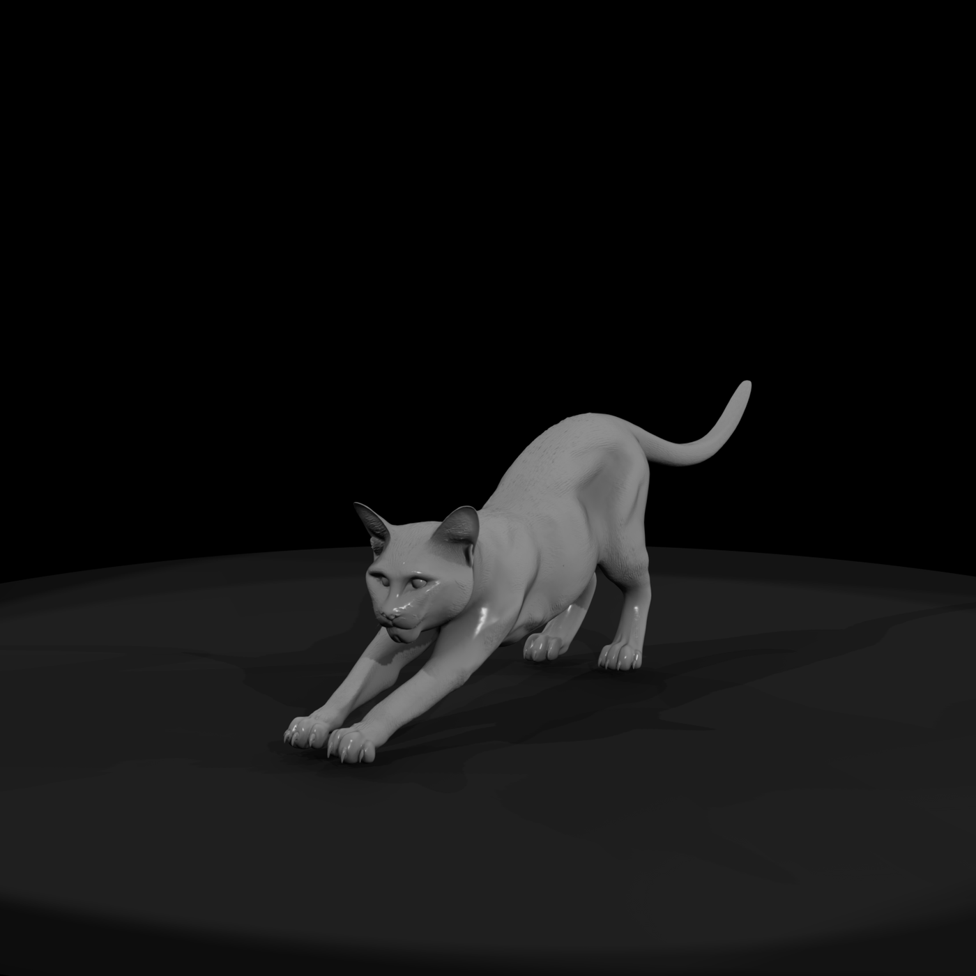 Stretching Domestic Cat Figure