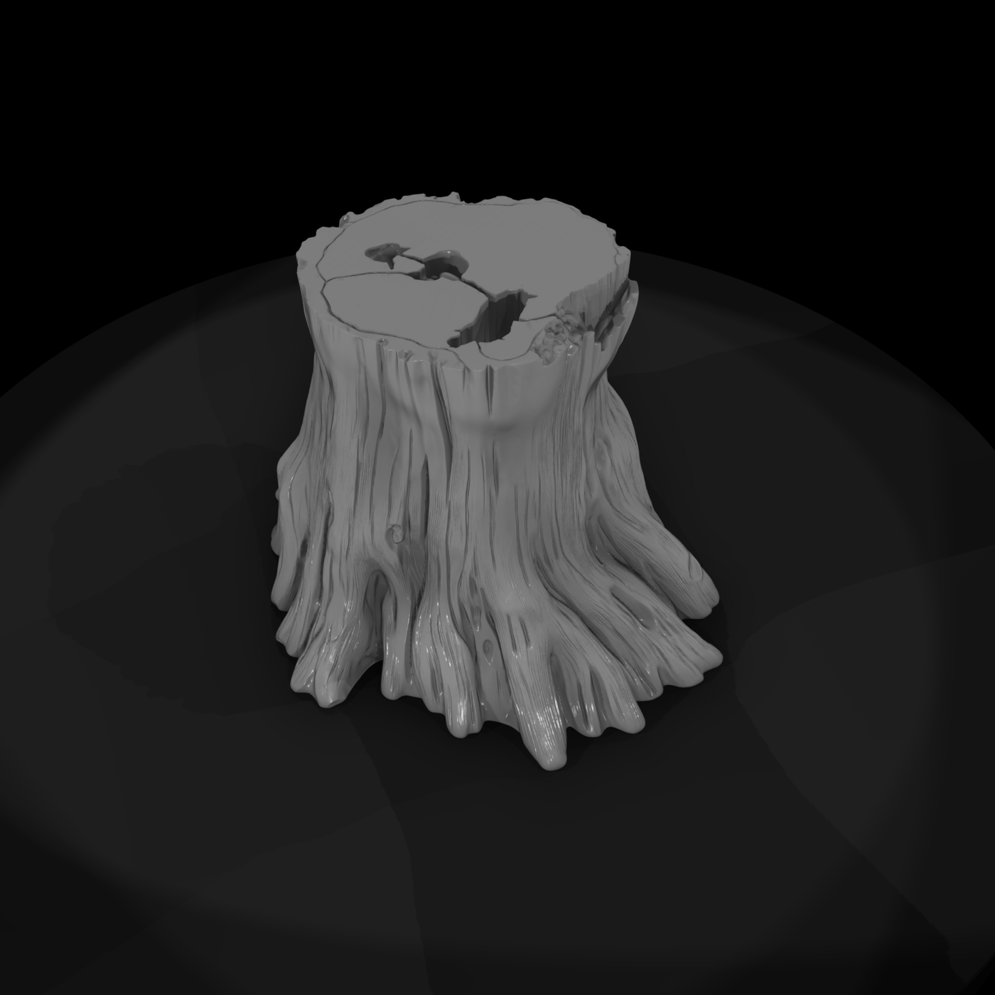 Weathered Tree Stump