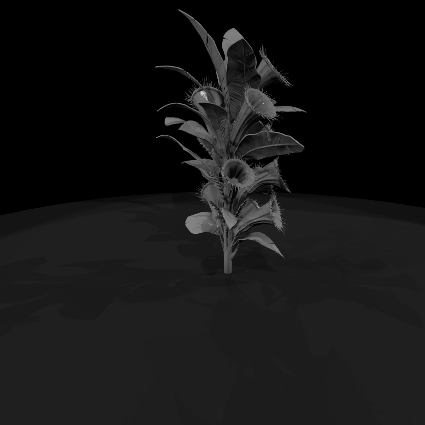 Screaming Heliconia — Carnivorous Plant Miniature