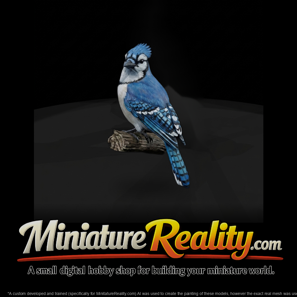 Blue Jay Perched Bird