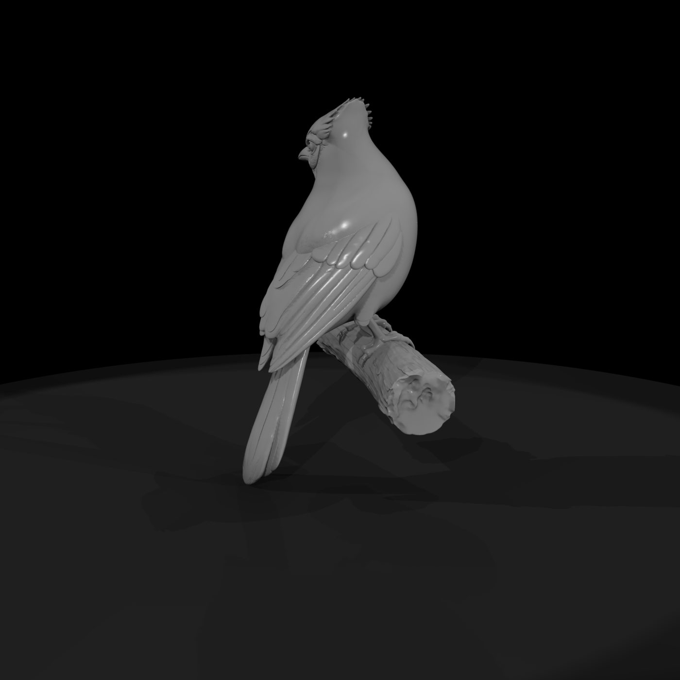 Blue Jay Perched Bird