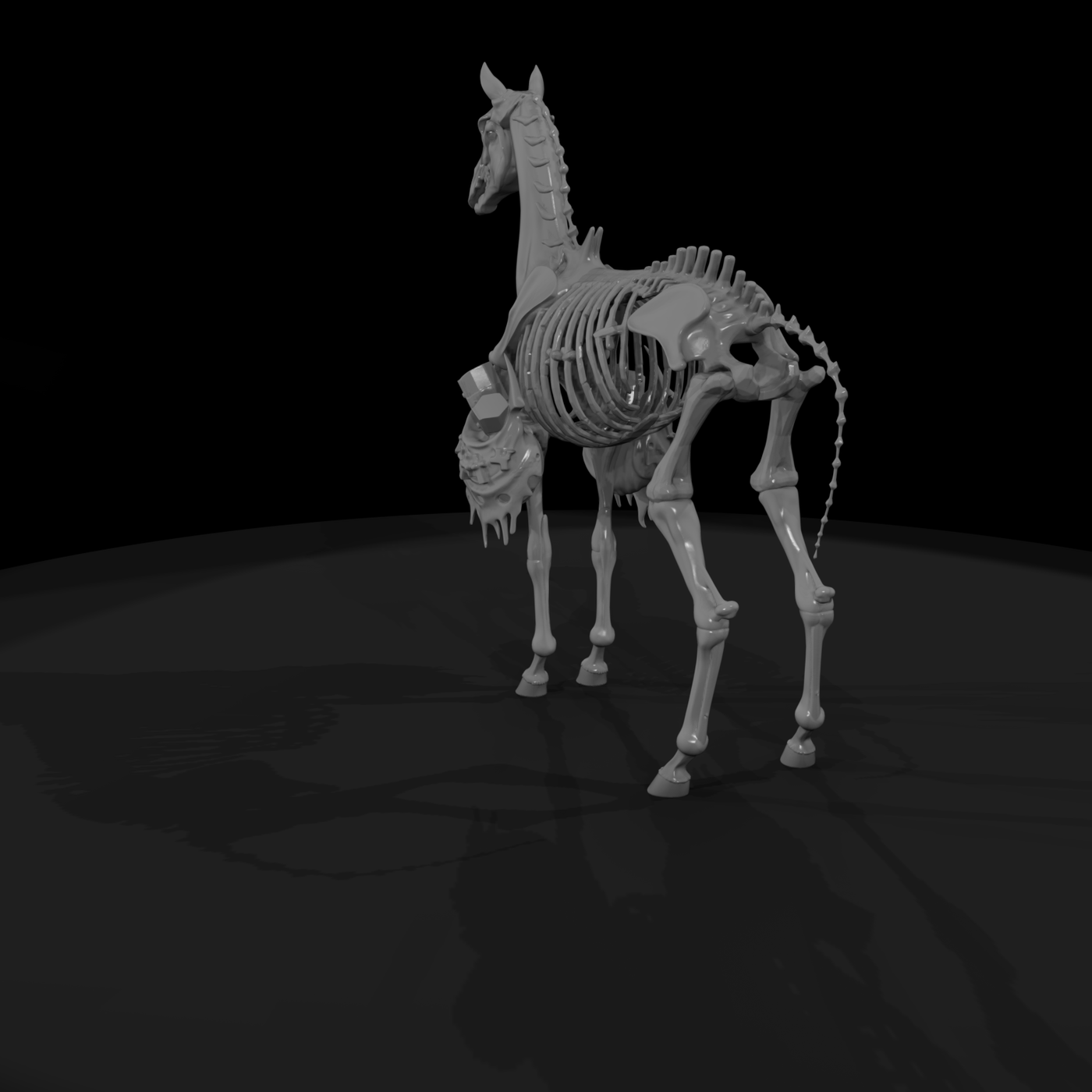 skeleton horse