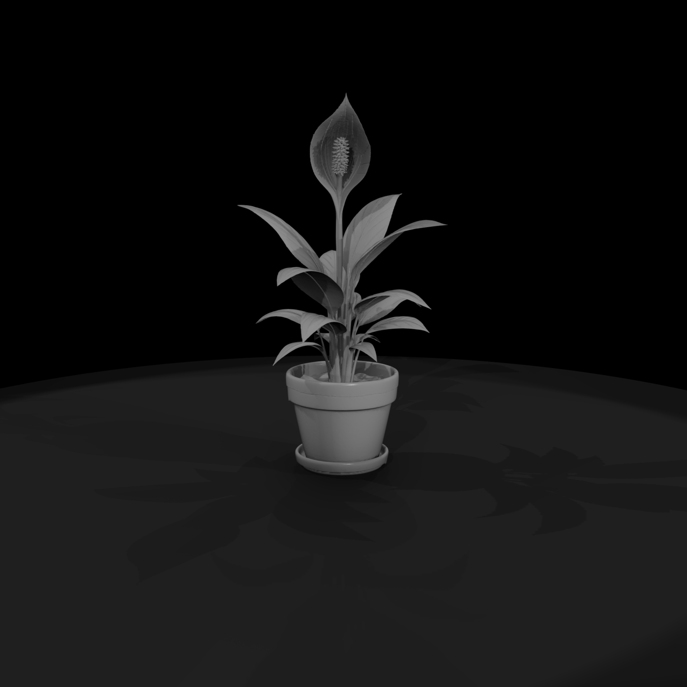 Stylized Peace Lily Potted Plant — 3D Printable Miniature