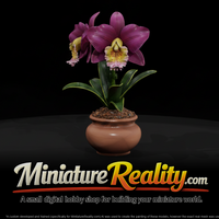 Stylized Potted Cattleya Orchid miniature, three-quarter view — thumbnail 1