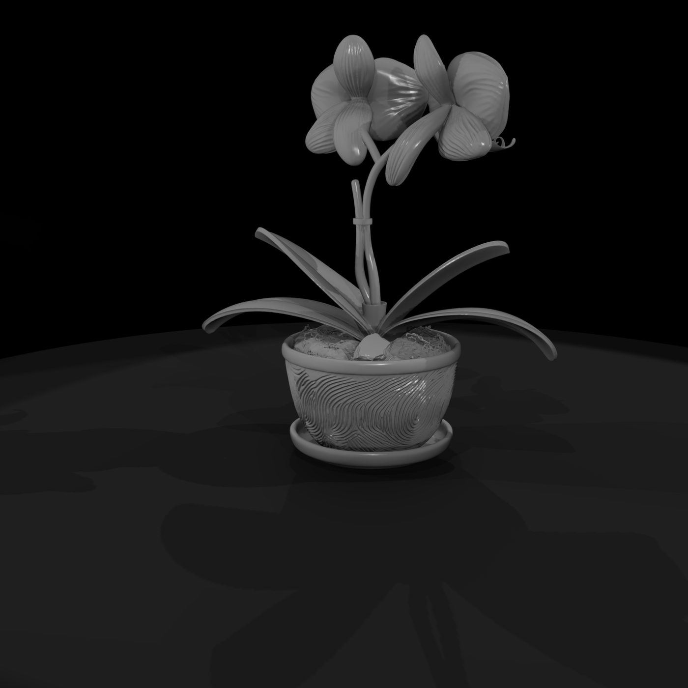 Stylized Potted Moth Orchid Miniature
